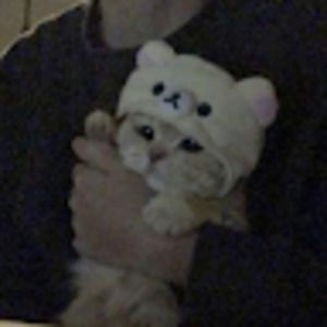 Meet your Posher, Brianna